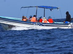 Estiva, Bona, and Otoque Islands: A Journey Where Visitors can Experience 100% Sustainable Tourism