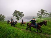 Tierras Altas: Experiences Amidst Mountains, Nature, Coffee and History