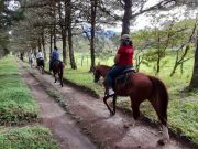 Fincas Agro Turísticas en Tierras Altas, Lugares que Conectan al Visitante con la Naturaleza