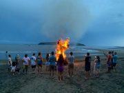 Temporada de Avistamiento de Ballenas Crea Oportunidad para Unir a Santa Catalina