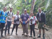 Panama Bird Festival 2023 se Realizará en el Parque Omar y en Albrook Mall