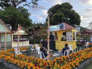 Más de 300 Expositores Nacionales e Internacionales Participarán en la Feria de Las Flores y el Café de Boquete