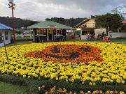 Conoce el Calendario con las Mejores Ferias de Panamá Durante el 2024