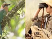 El Esperado “Festival de las Alas 2024” se Realizará el 25 y 26 de Mayo en el Parque Metropolitano