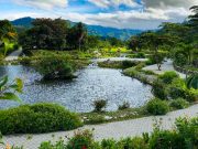 Expo Boquete, un Evento para Todas las Personas que Desean Descubrir los Secretos de un Paraíso Natural