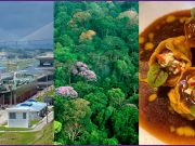 Panamá es Historia, Cultura, Gastronomía y Biodiversidad