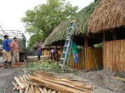 Festival Nacional Mi Ranchito en Río de Jesús se Realizará del 14 al 17 de Noviembre