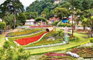 Vuelve la Feria de las Flores y El Café de Boquete desde el 8 al 19 de Enero de 2025