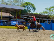 La Feria Internacional de David Celebra 68 Años de Cultura, Actividades e Innovación en la Provincia de Chiriquí