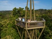 Ciudad de Panamá, uno de los Destinos Más Importantes para el Aviturismo en la Región