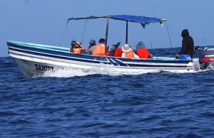 Islas Estivá, Boná y Otoque, un Viaje donde el Visitante puede Vivir un Turismo 100% Sostenible