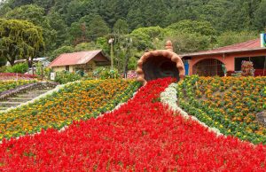 Empieza el 2026 con Colores, Aromas y Tradiciones en la Feria de las Flores y el Café