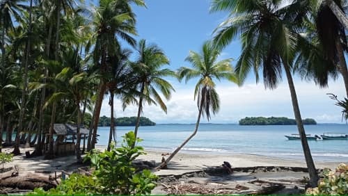 1629349181552_IMG_20210805_122955-1