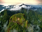 Chica in Cerro Campana, the Highlands of West Panama that Enchant with its Nature