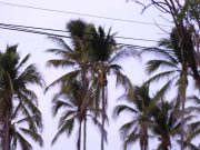 Riding Bicycle on Playa El Agallito Bike Lane in Chitre Strengthens Body and Good Health
