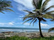 Costa Abajo de Colon, a Paradise that is Being Discover by More Visitors Each Day