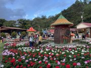 Boquete Flower and Coffee Fair, 51 Years Dazzling with Art, Splendor and Traditions