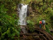 The Lost Waterfalls, a Trail in Boquete Where Couples can Share Together a Natural Experience