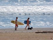 La Marinera Beach, a Natural Paradise for Sea Turtle Watching in Los Santos