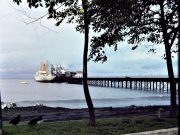 Baru District Celebrates 83 Years of a History Full of Contrasts and Economic Bonanza