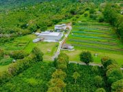 Don Pepe Estate Coffee, a Family Tradition that Has Achieved International Recognition