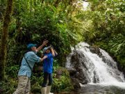 National Park La Amistad, a Natural Hub Full of Trails and Adventures to Discover