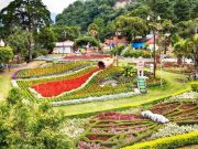The Boquete Flower and Coffee Fair Returns from January 8 to 19, 2025