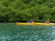 Venas Azules, a Natural Jewel that Offers Crystal Clear Waters and an Unforgettable Experience