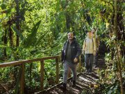 Tierras Altas, a Place Full of Nature and a Cool Climate That Many Foreigners Choose to Live