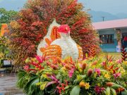Tierras Altas Flower Parade to Be Held from September 12-16