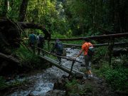Pipeline Trail, an Ecological Adventure for the Whole Family in the Boquete Cloud Forests