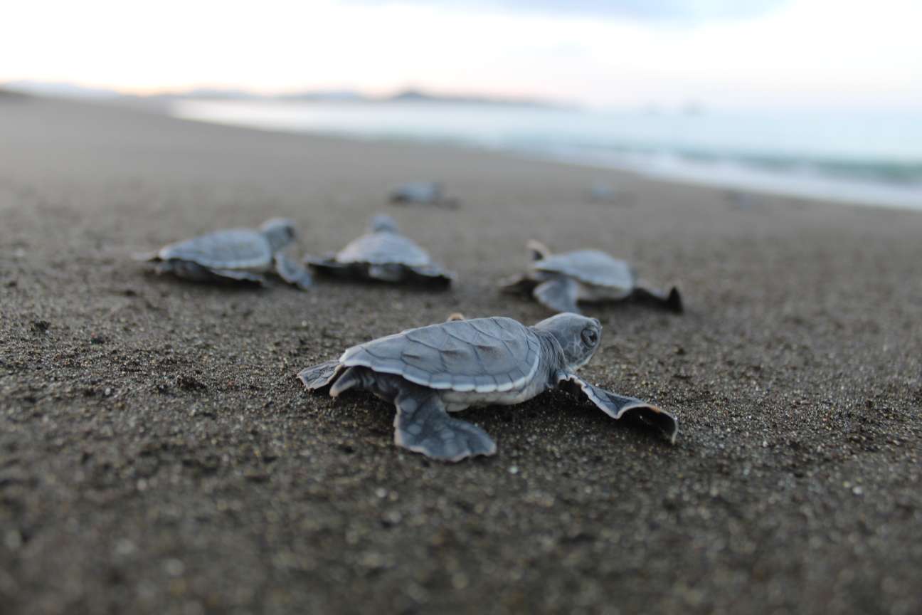 Compress_20250916_204915_5992