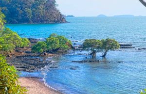 Boca Brava, One of the Best-Kept Natural Secrets of the Gulf of Chiriqui