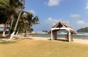 Mamey Island: The Small Jewel of the Caribbean in Colon with Immense Natural Beauty