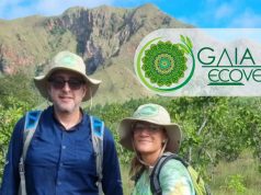 Gaia Ecoversity: An Organization Promoting Conscious Tourism for a More Sustainable Panama