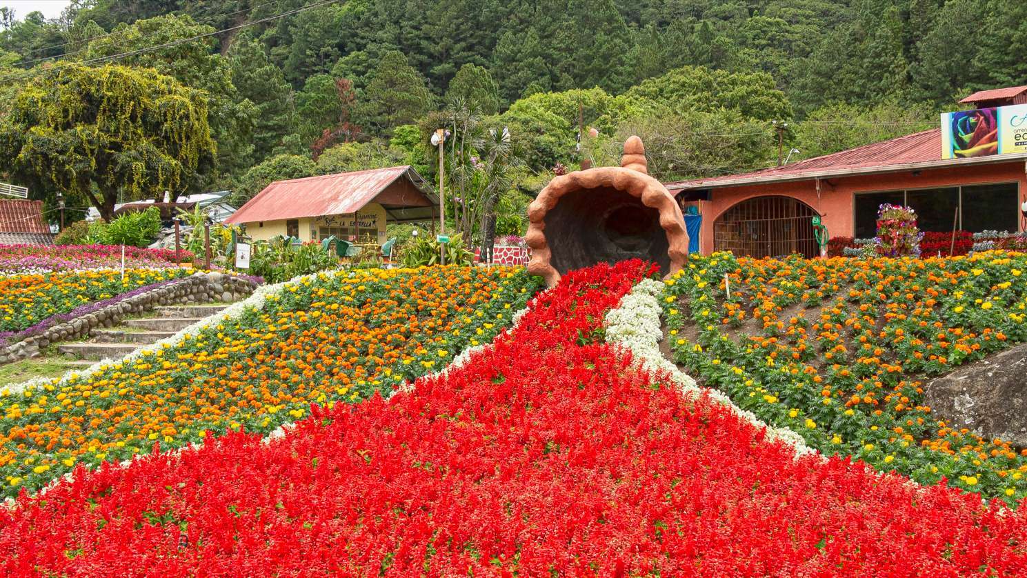 Compress_20251219_114633_3272