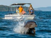 Gulf of Montijo, a Marine Paradise to Discover in the Veraguas Pacific