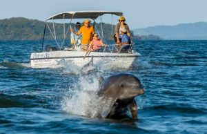 Gulf of Montijo, a Marine Paradise to Discover in the Veraguas Pacific