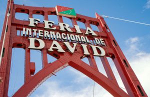 David International Fair: An Event Full of Cultural, Agricultural, and Commercial Activities