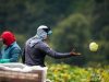 Chiriqui: Agro-industrial Development and Logistics Potential with an International Outlook
