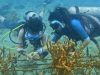 Bocas Students Make Waves with Revive Reef Restoration Scholarship Program