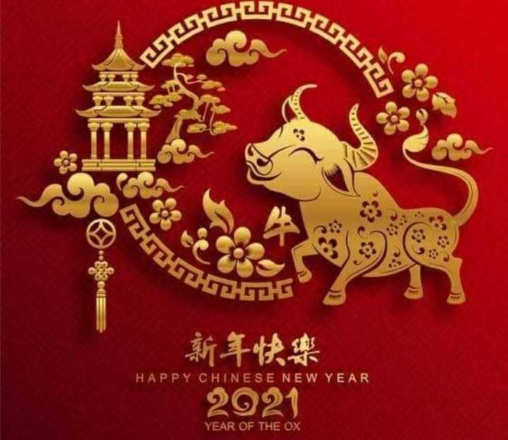 Panamá se Une a la Celebración de la Comunidad China