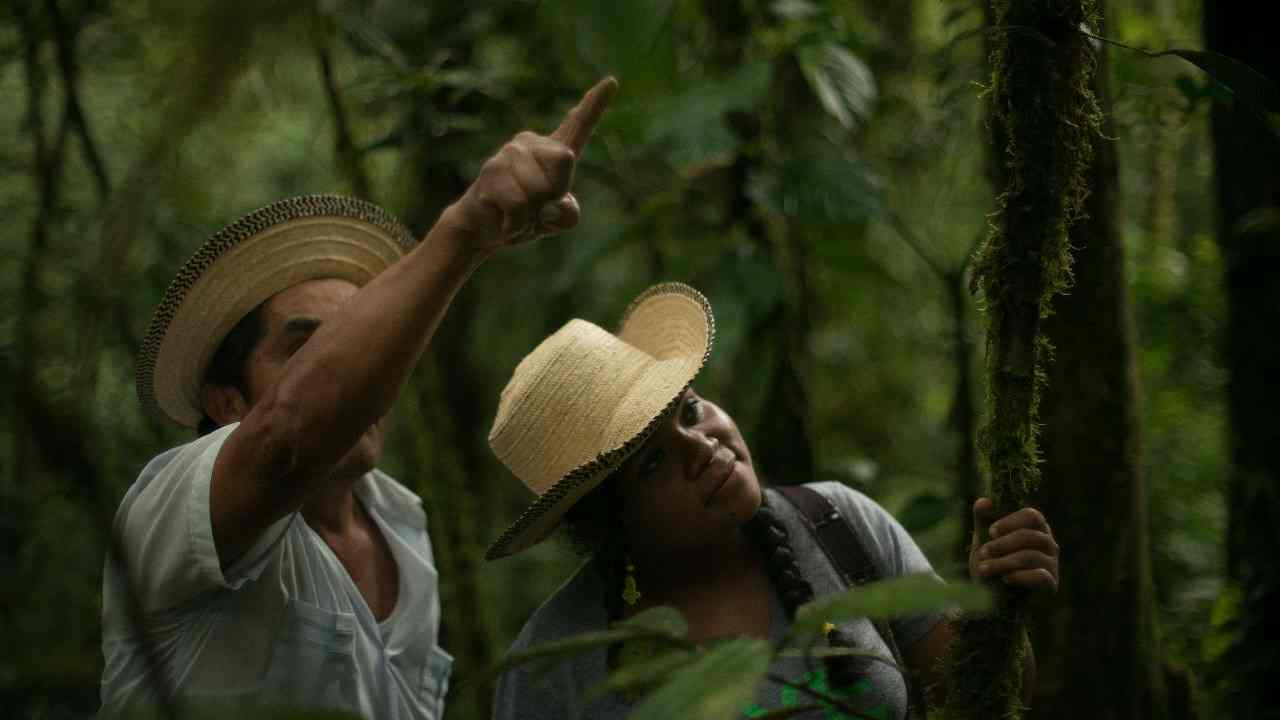 Guías Turísticos Panameños Celebran su Día con Actividades Virtuales