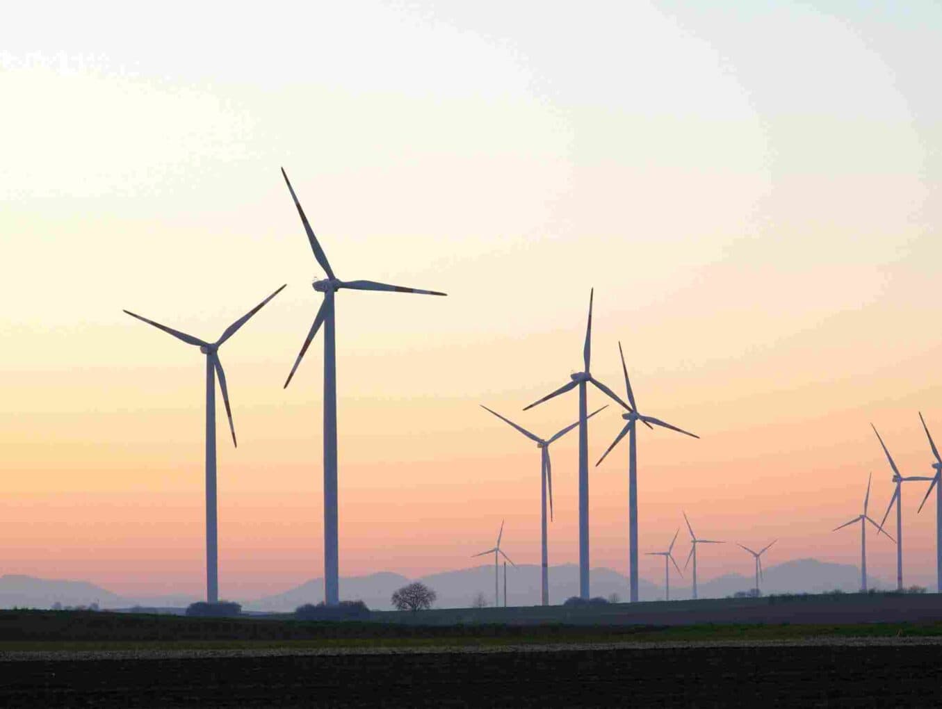 windrader-4832701_opt-1355x1020