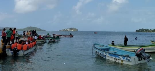 cropped3654528261371985183