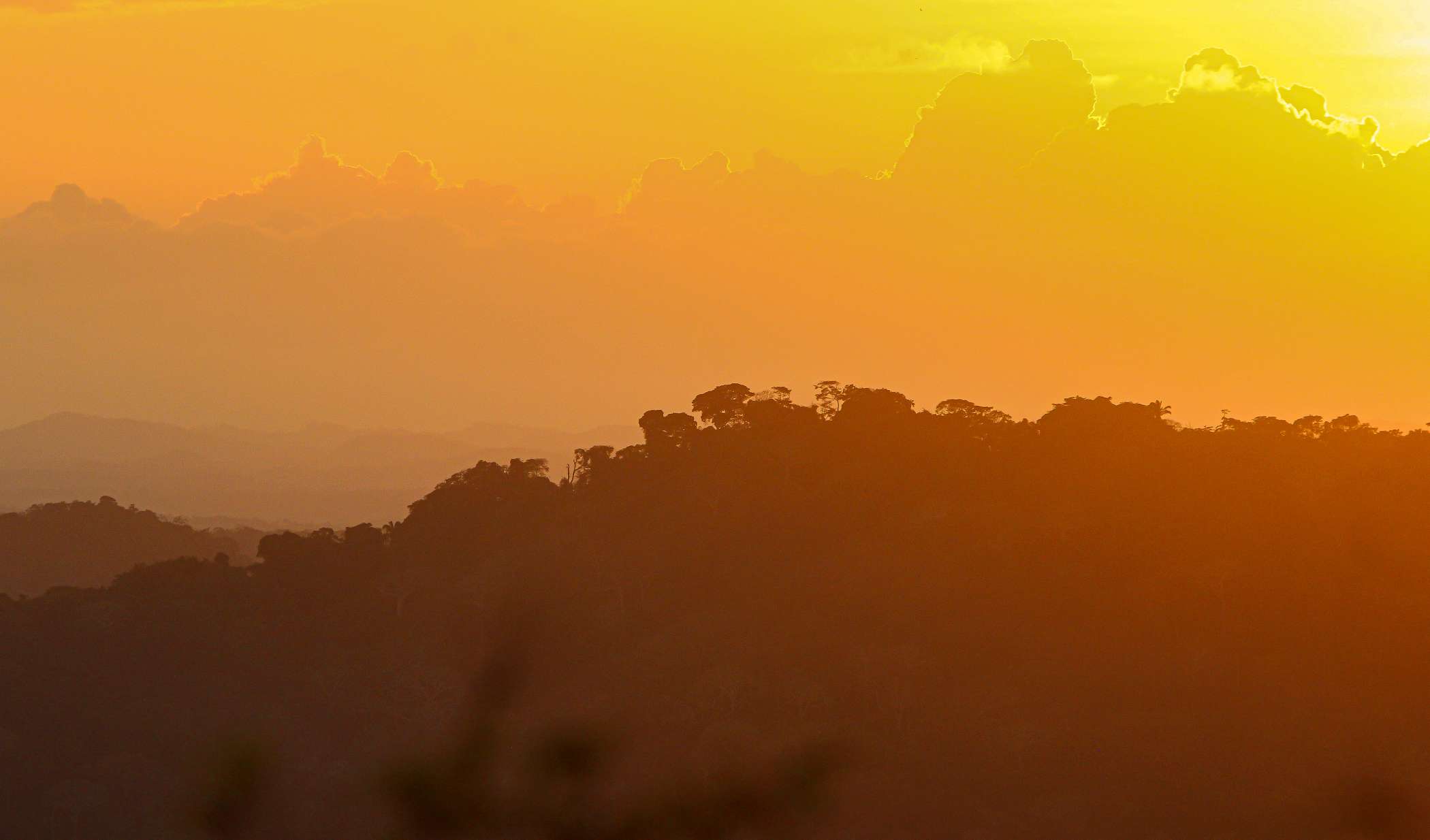 Compress_20220426_171225_5169