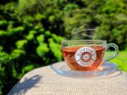 Kotowa Lanza el Primer Té Cosechado y Producido 100% en Panamá