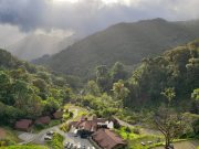 Circuito del Café, la Experiencia Turística Más Inmersiva y Natural de Panamá