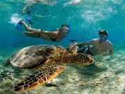 Isla Iguana, Refugio de Vida Silvestre con Playas de Arena Blanca, Senderos Naturales e Historia