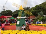 La Fería de las Flores y del Café en Boquete se Realizará del 11 al 21 de Enero de 2024